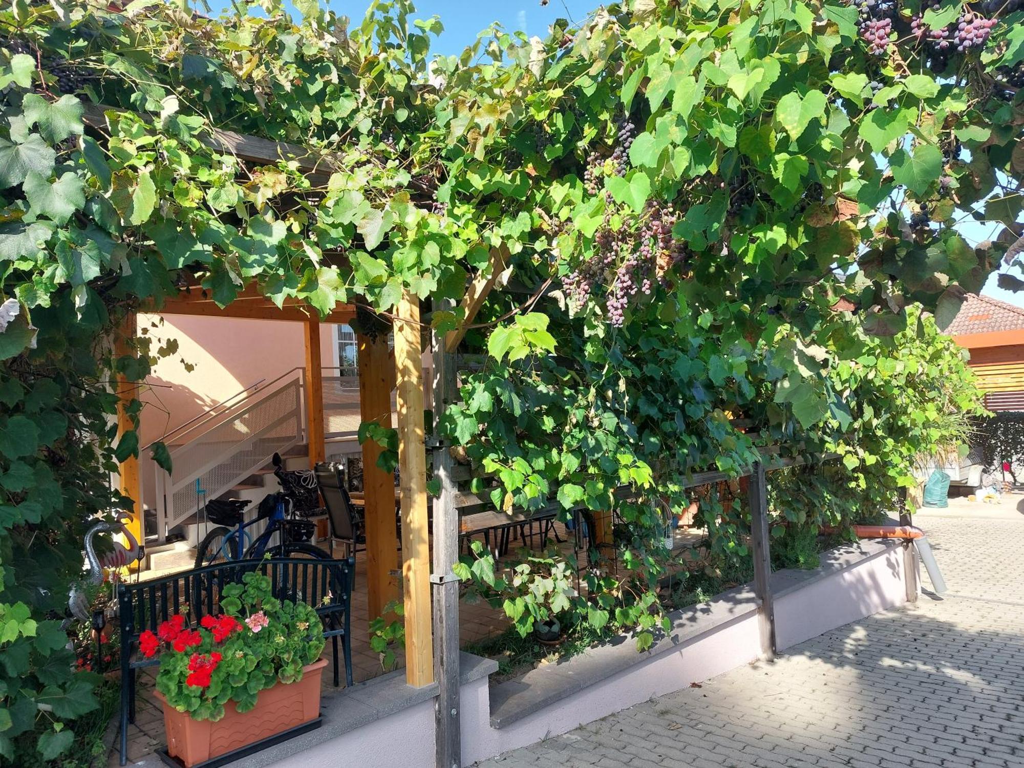 Ferienwohnung Gerti Pinkafeld Exterior photo